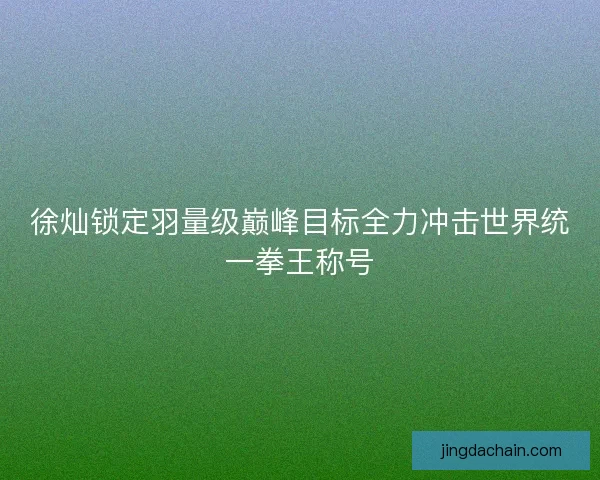 徐灿锁定羽量级巅峰目标全力冲击世界统一拳王称号