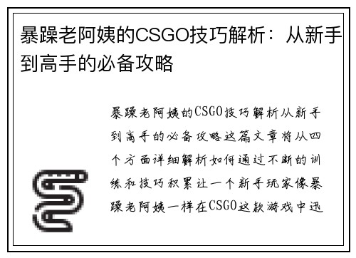 暴躁老阿姨的CSGO技巧解析：从新手到高手的必备攻略